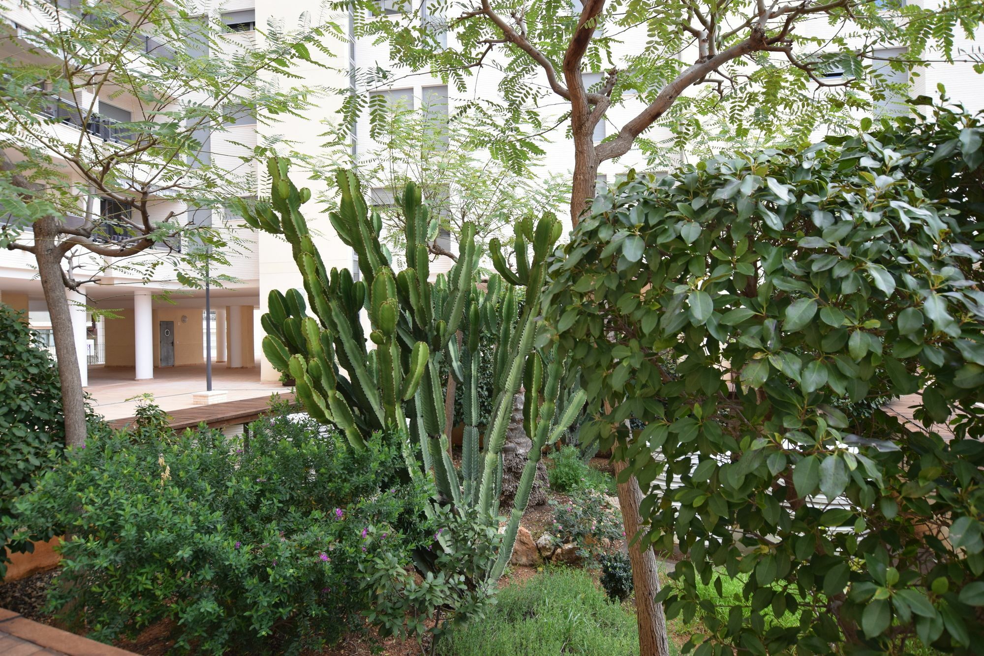 Plaza Mayor 2 Bedroom Apartment 칼페 외부 사진